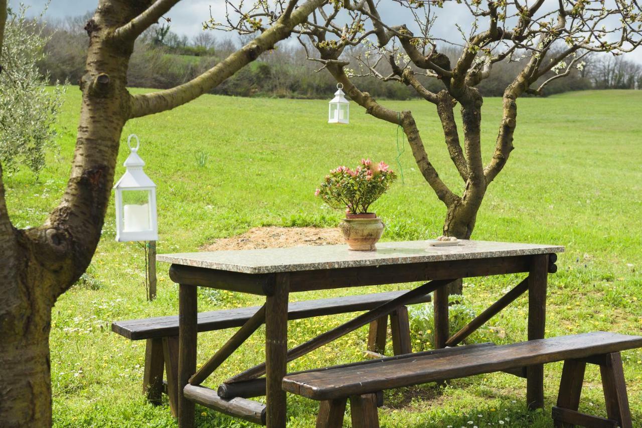 Agriturismo Campo Alla Piana Villa Monticchiello Bagian luar foto