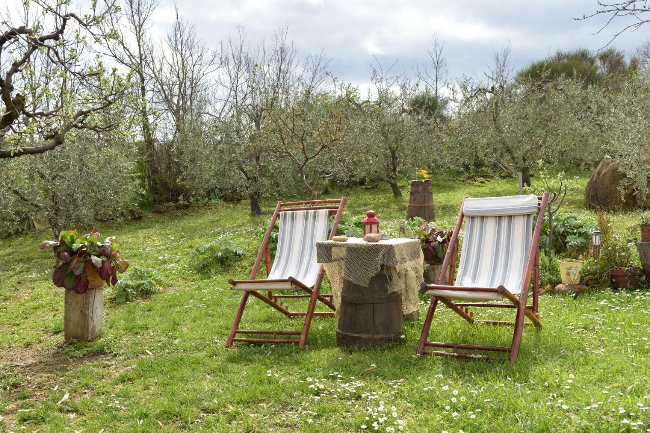 Agriturismo Campo Alla Piana Villa Monticchiello Bagian luar foto