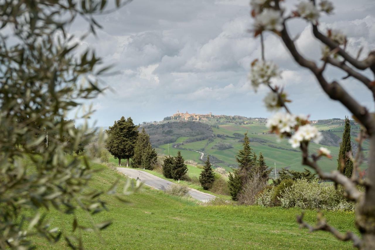Agriturismo Campo Alla Piana Villa Monticchiello Bagian luar foto